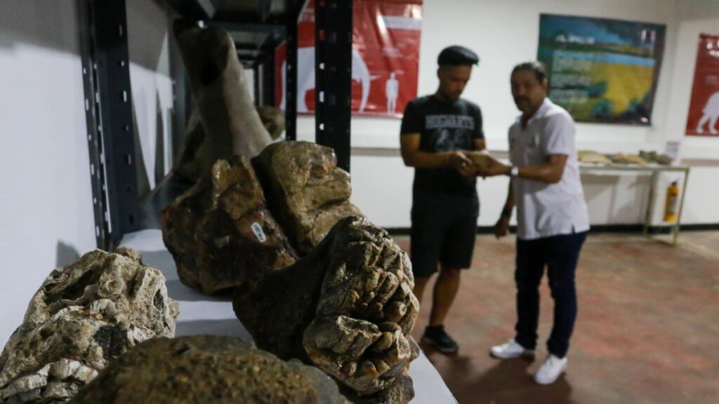 Nuevo descubrimiento reescribe la historia de un pueblo atlántico.